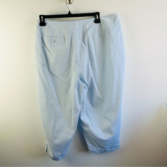 Dress Barn Blue White Striped Lined Wide Leg Pants Size 24 - Picture 4 of 5